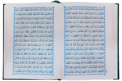 Al Quran Al Kareem - Punjabi Translation