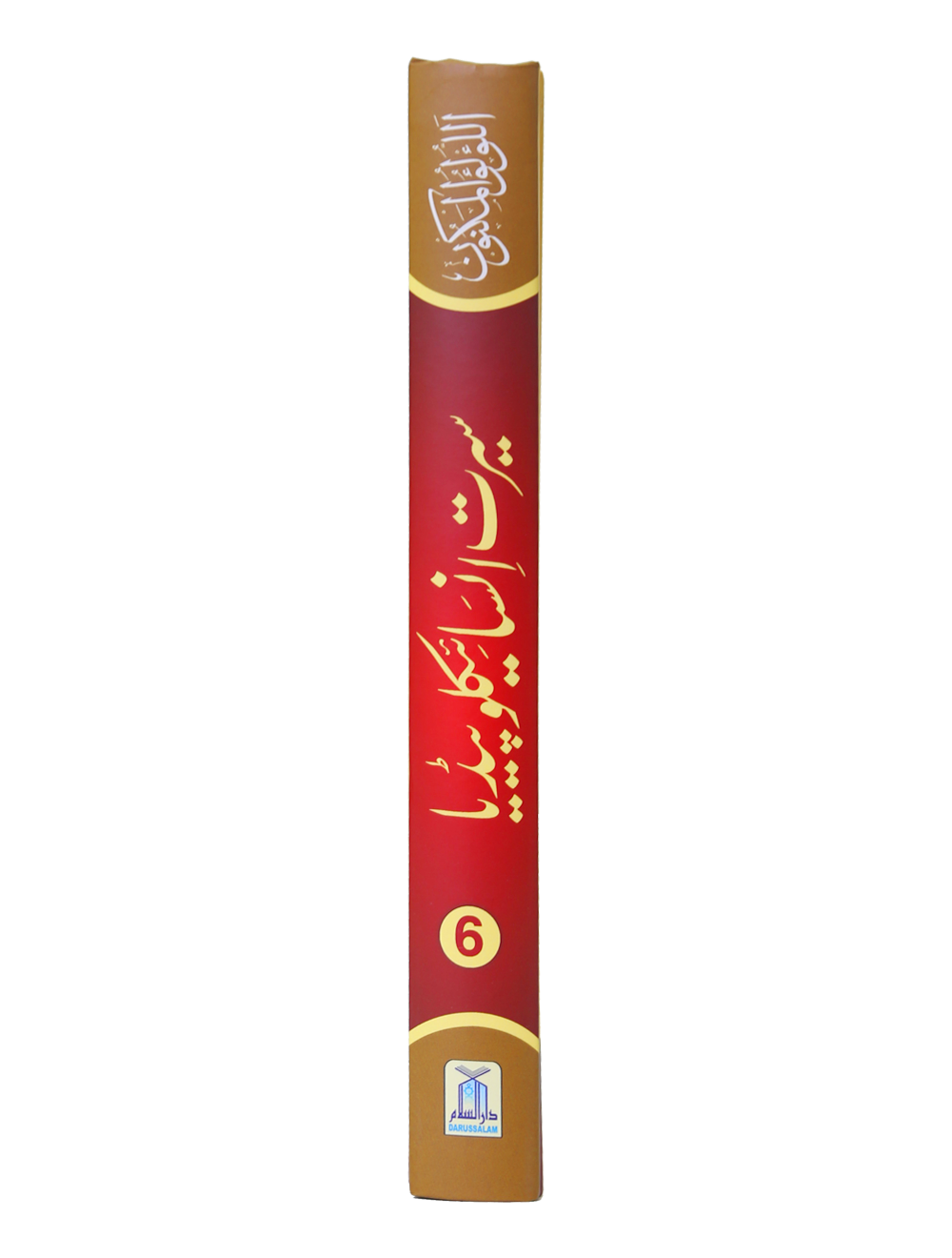 Seerat Encyclopedia (6th Vol.)