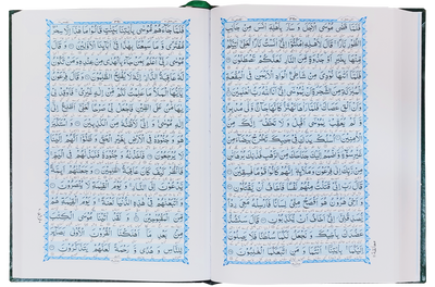 Al Quran Al Kareem - Punjabi Translation
