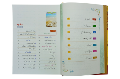 Seerat Encyclopedia (5th Vol.)