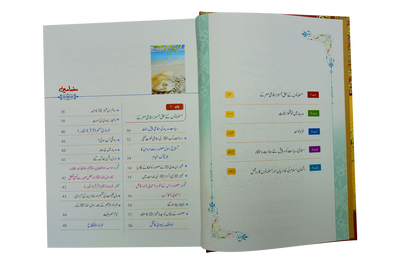 Seerat Encyclopedia (6th Vol.)
