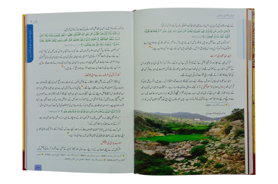 Seerat Encyclopedia (3rd Vol.)