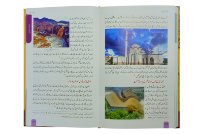 Seerat Encyclopedia (7th Vol.)