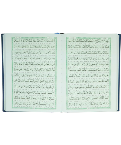 Al Quran Al Kareem (Tarjuma - Banul Satur - 12 Lines)