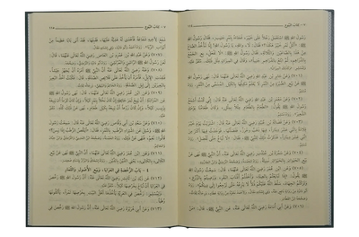 Bulugh ul Maraam-Imported (Arabic with Aa`raab)
