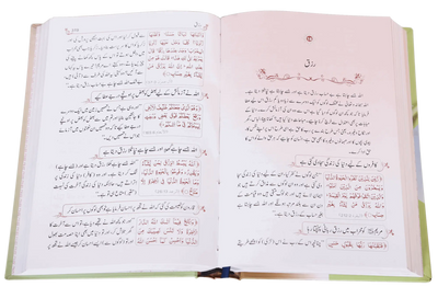 Noor ul Quran