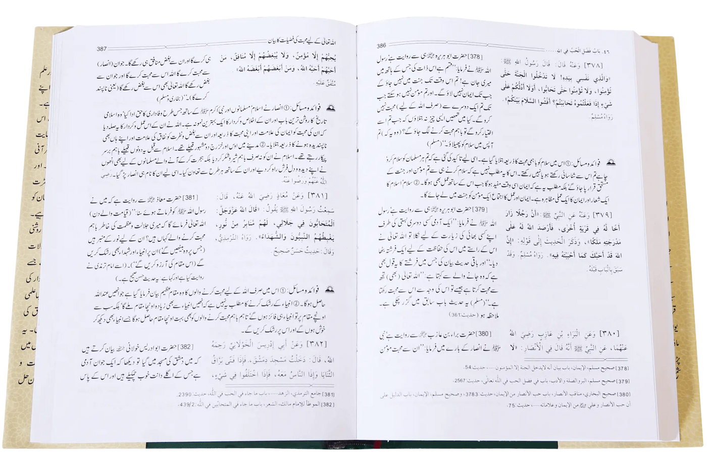 Riyad us Saliheen (2 Vol. Set)