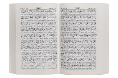 Tafsir Ahsan ul Kalaam (Soft Cover)